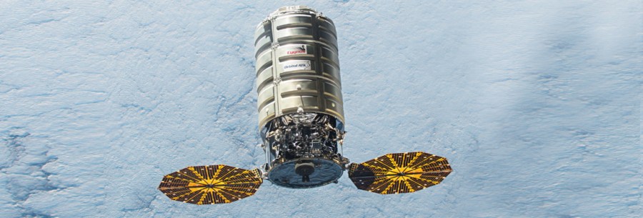 cygnus2