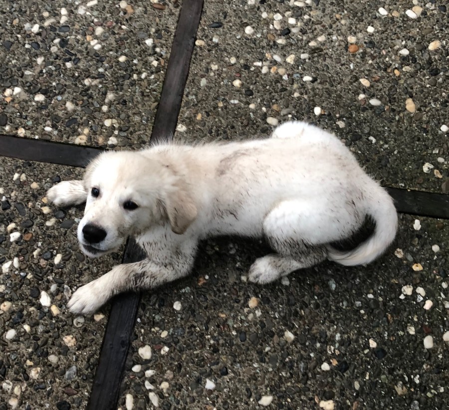 File Feb 06, 2 22 43 PM